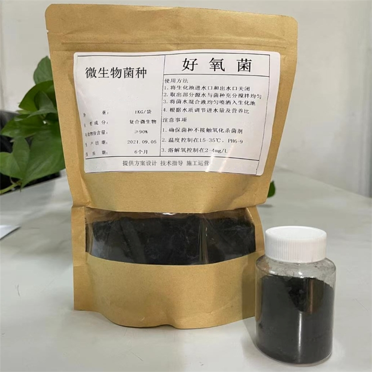 �۱�ϩ����